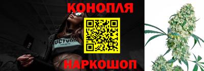 мдпв Бийск