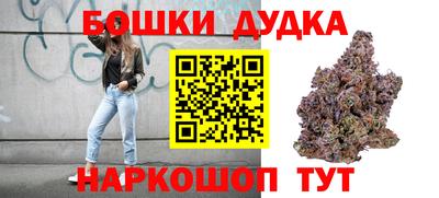 мдпв Бийск