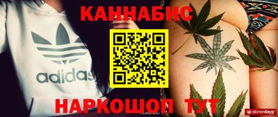 мдпв Бийск