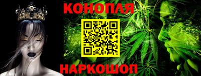 мдпв Бийск