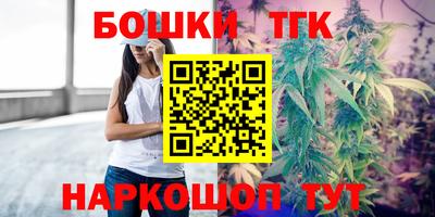 мдпв Бийск