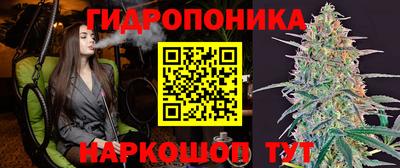 мдпв Бийск